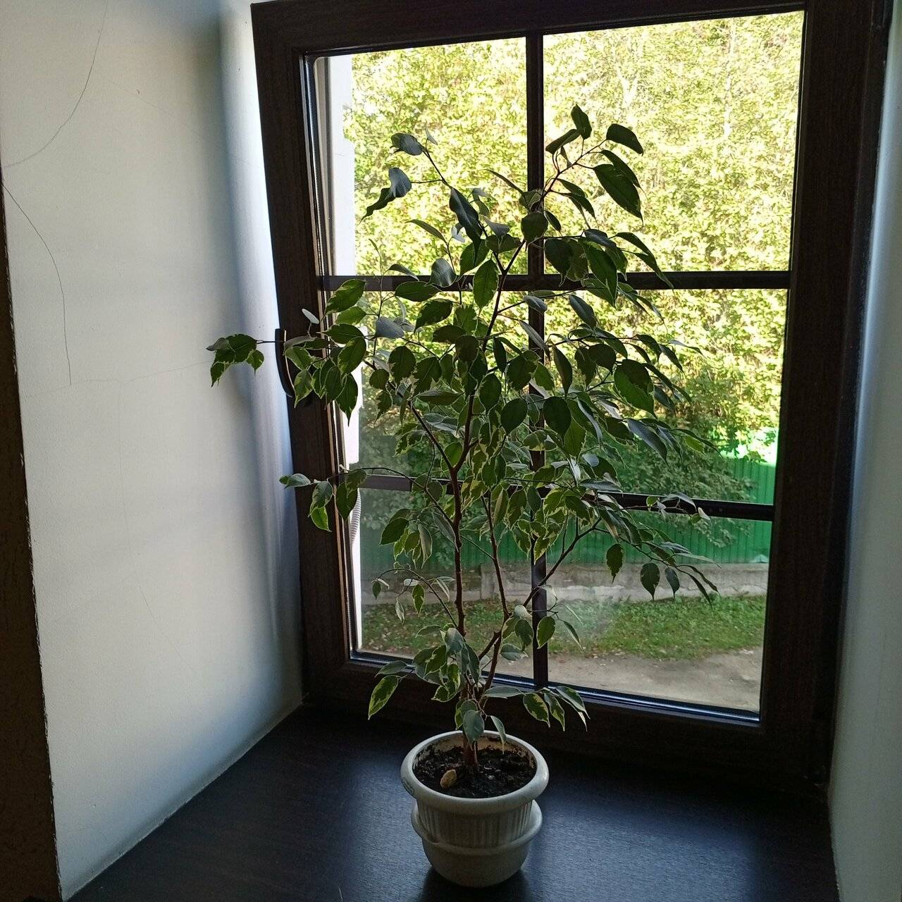 Фото Гостиницы Тройка Переславль-Залесский 86