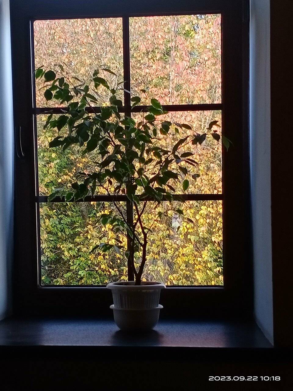 Фото Гостиницы Тройка Переславль-Залесский 156